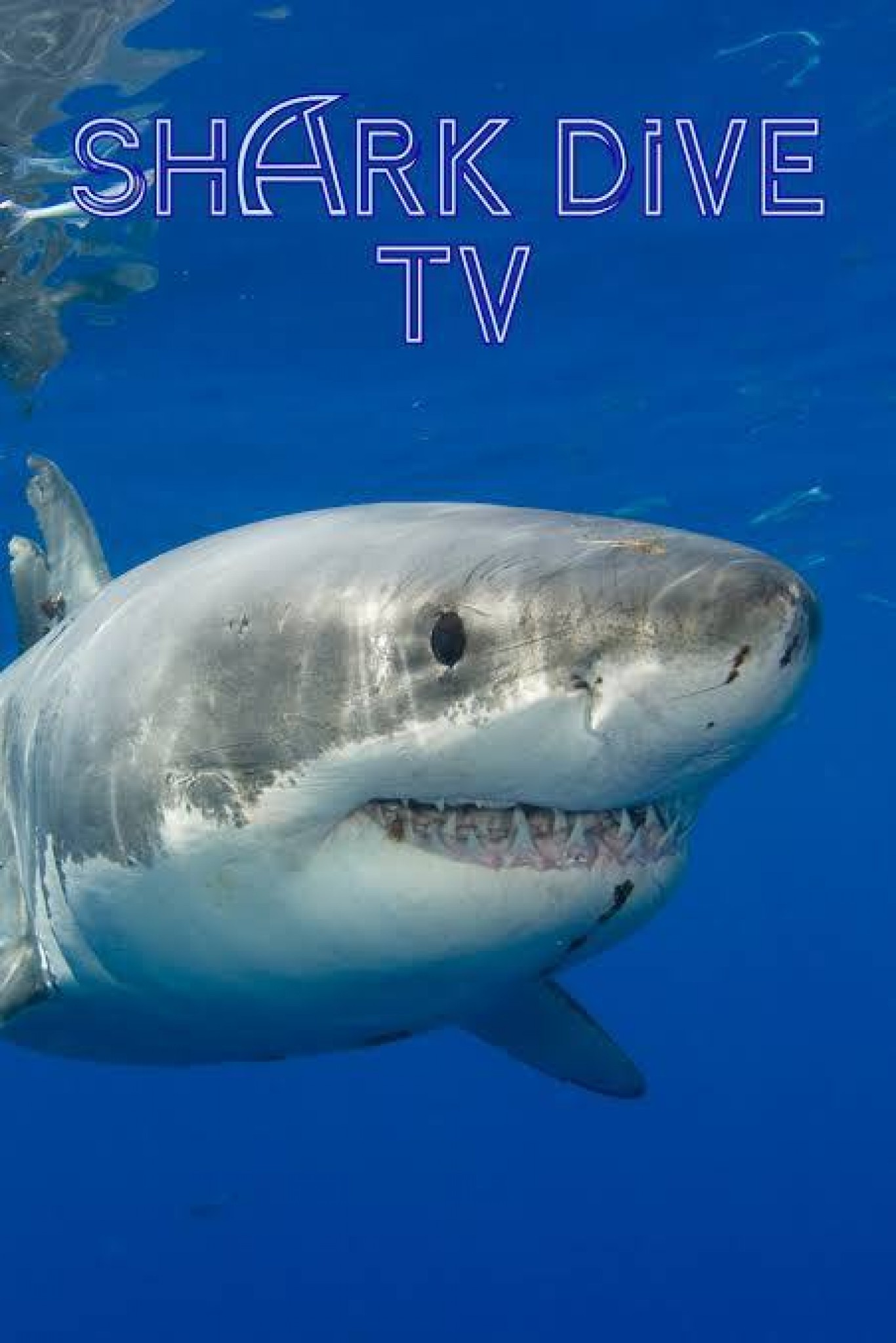 Content Thumbnail